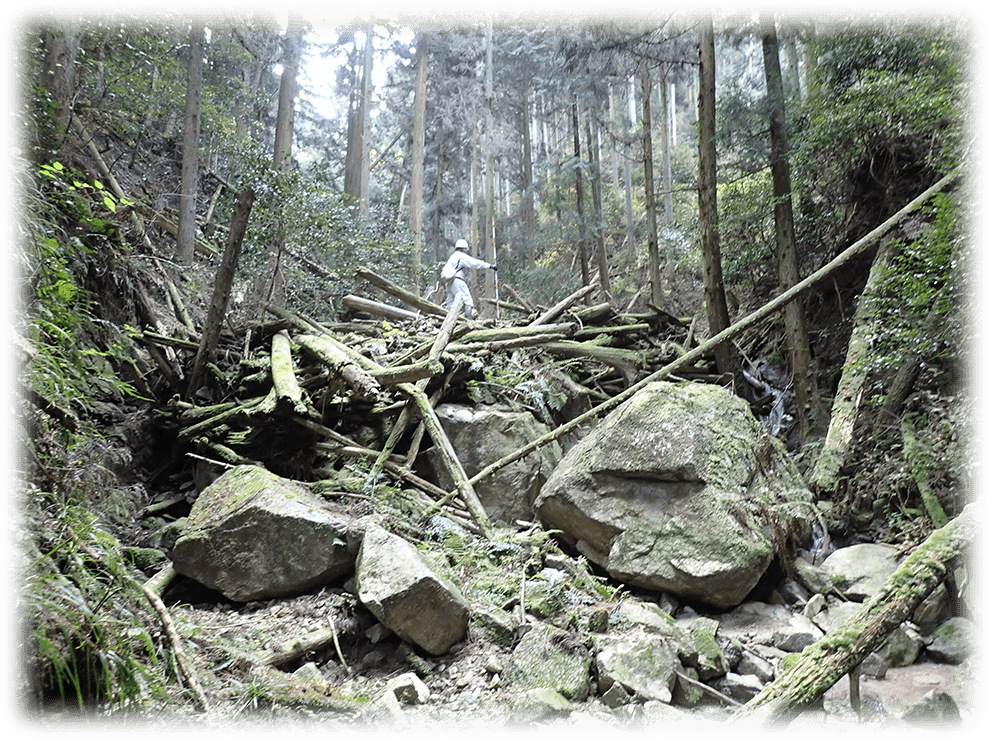 土砂堆積